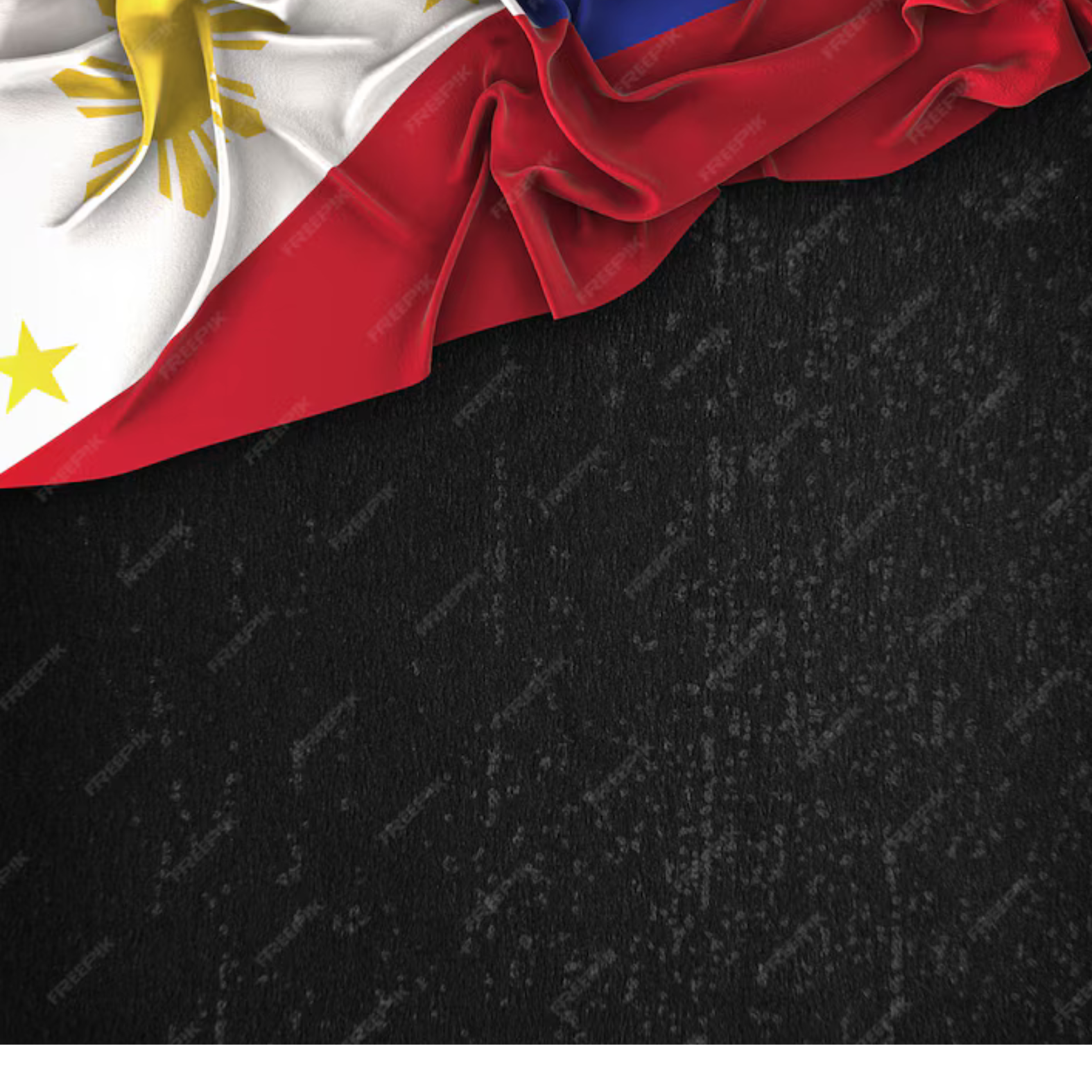 The Philippine Flag